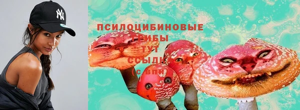 МДПВ Бугульма